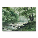 Cataloochee Creek Giclee