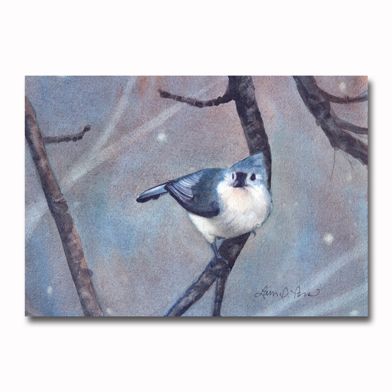 Tufted Titmouse Giclee