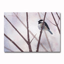 Waiting For Spring/Chickadee Giclee