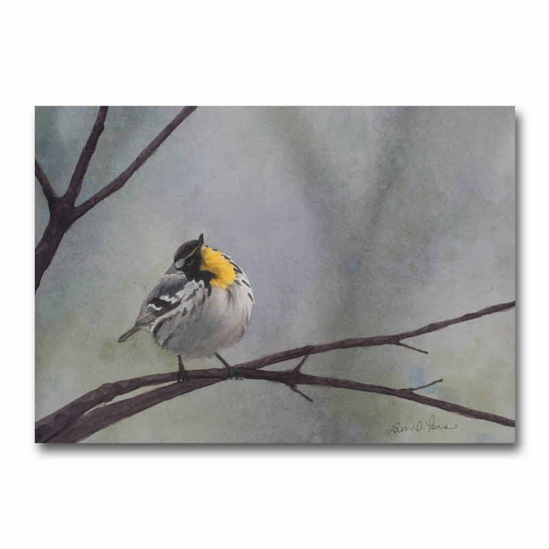 Yellow Throated Warbler Giclee