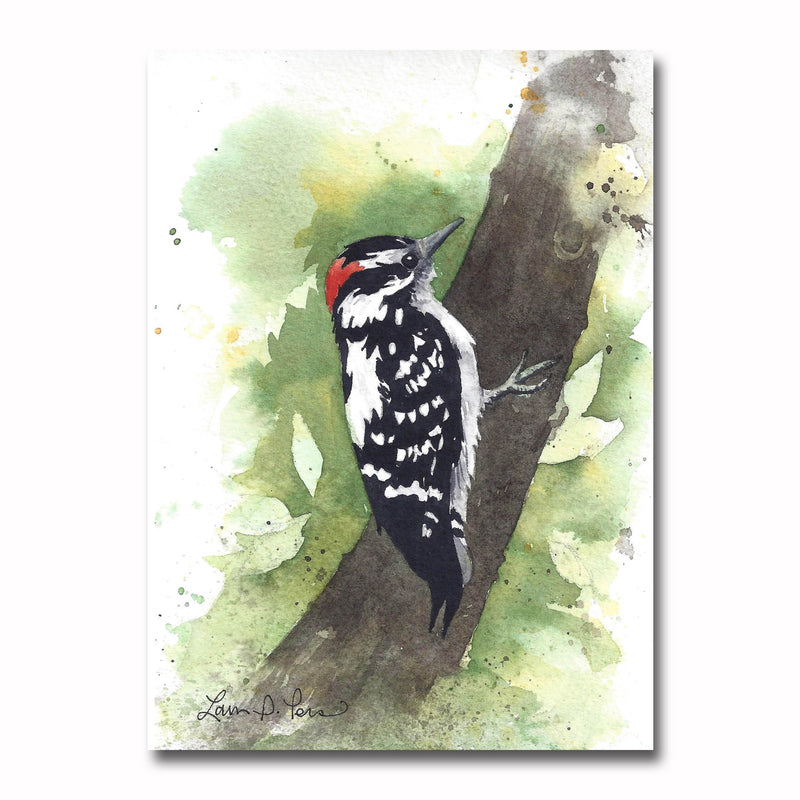 Downy Woodpecker/Splat Giclee