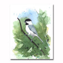Carolina Chickadee/Splat Giclee