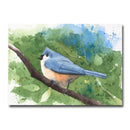 Tufted Titmouse/Splat Giclee
