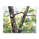 Carolina Glee Club 11X14 Giclee