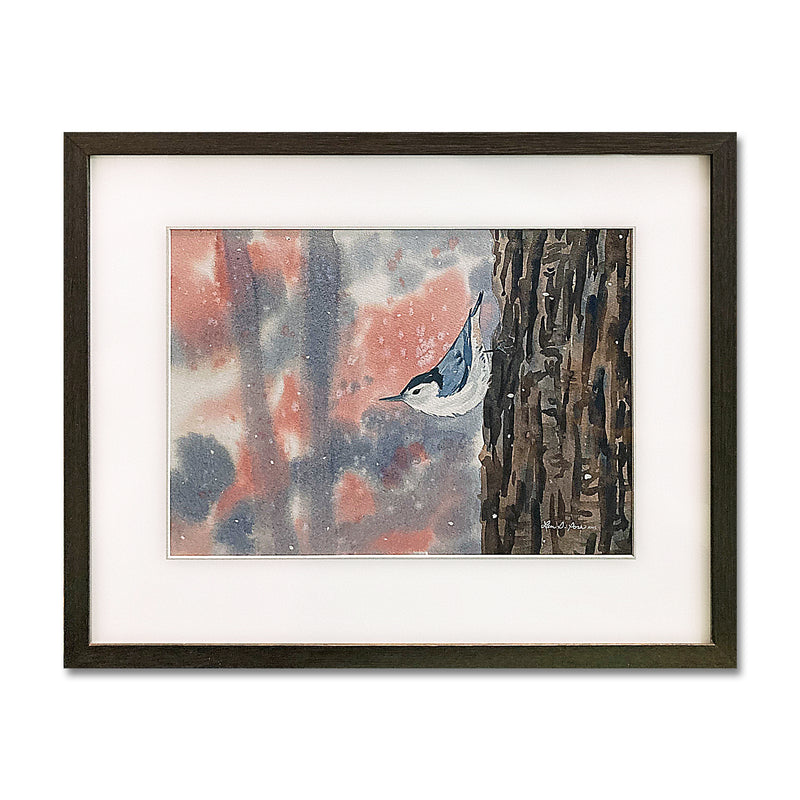 White-breasted Nuthatch 16X20 Watercolor