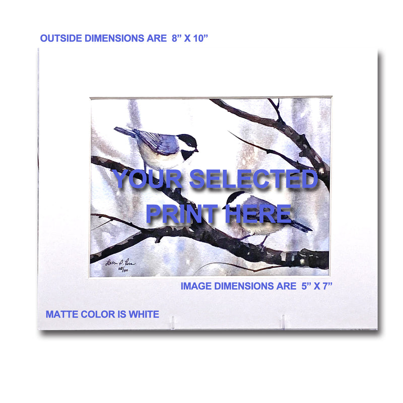 White-breast Nuthatch/Tree Giclee