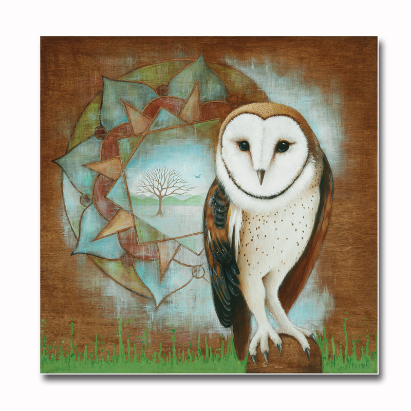 Mandala Owl 12X12 Print