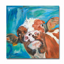 Nosy Bullock 12X12 Print
