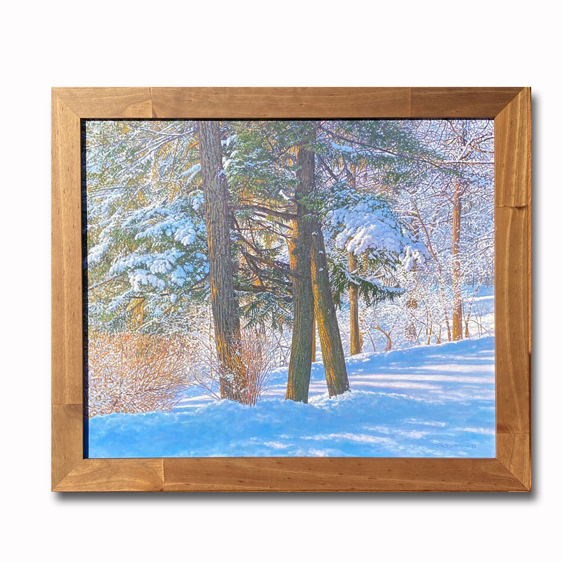 Cedars in the Snow 21X25 Oil On Canvas