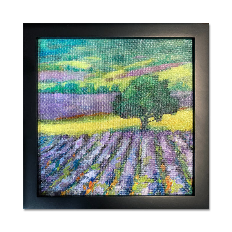 Lavender Fields 9X9 Oil On Panel