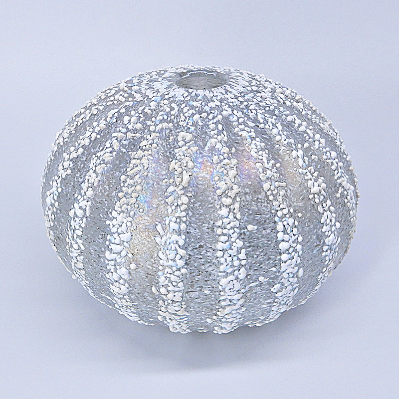 Sea Urchin Vase in Silver/White