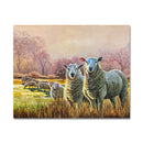 Sunrise Sheep 16X20 Oil And Cold Wax On Canvas