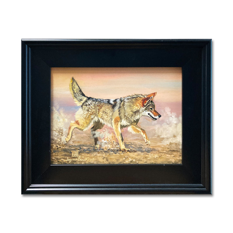Coyote Running 14X17 Oil On Board