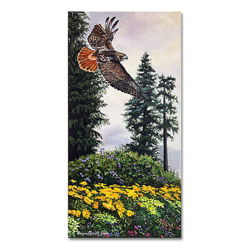 Red Tail Hawk 12X24 Oil On Wrapped Canvas