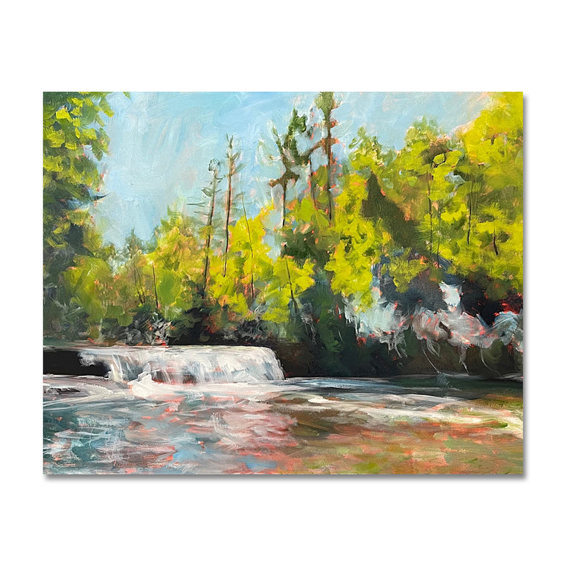 Hooker Falls II 24X30 Oil On Canvas
