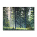 Morning in the Deep Woods 18X24 Oil On Aluminum Leaf