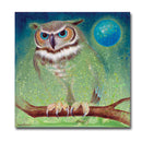 Spirit Raptor 12X12 Print