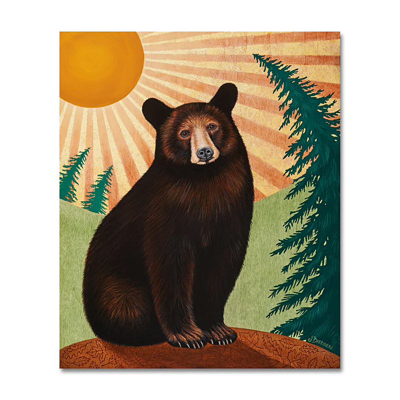 Sun Bear 16X20 Print On Canvas