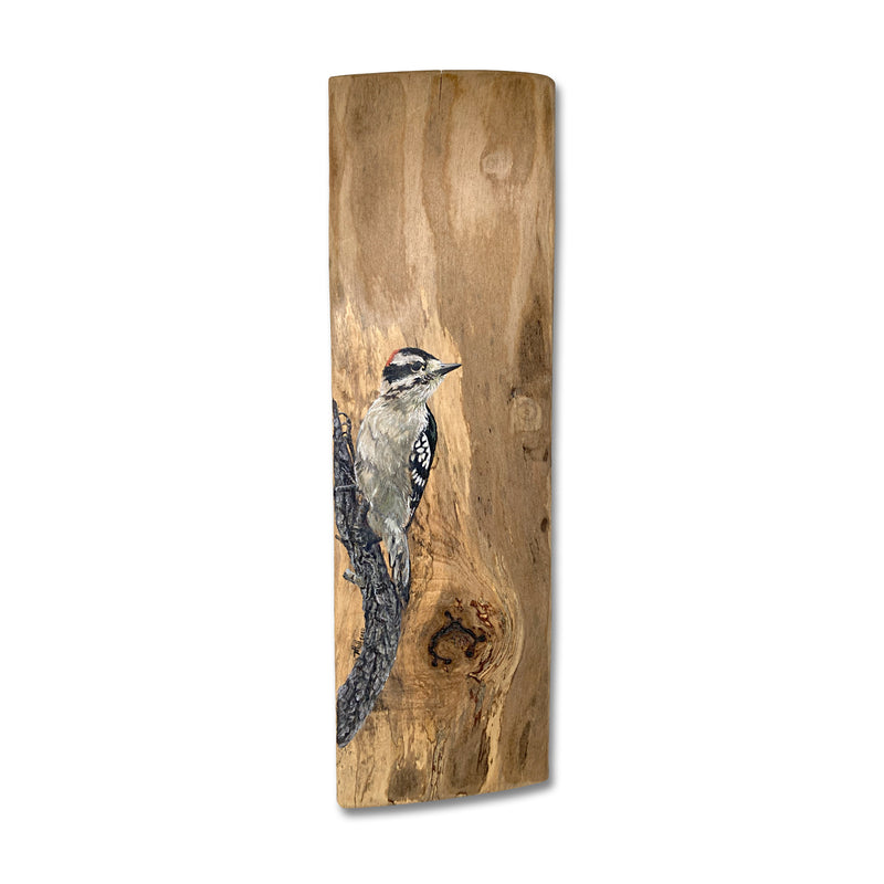 Downy Woodpecker Acrylic On Wood Board