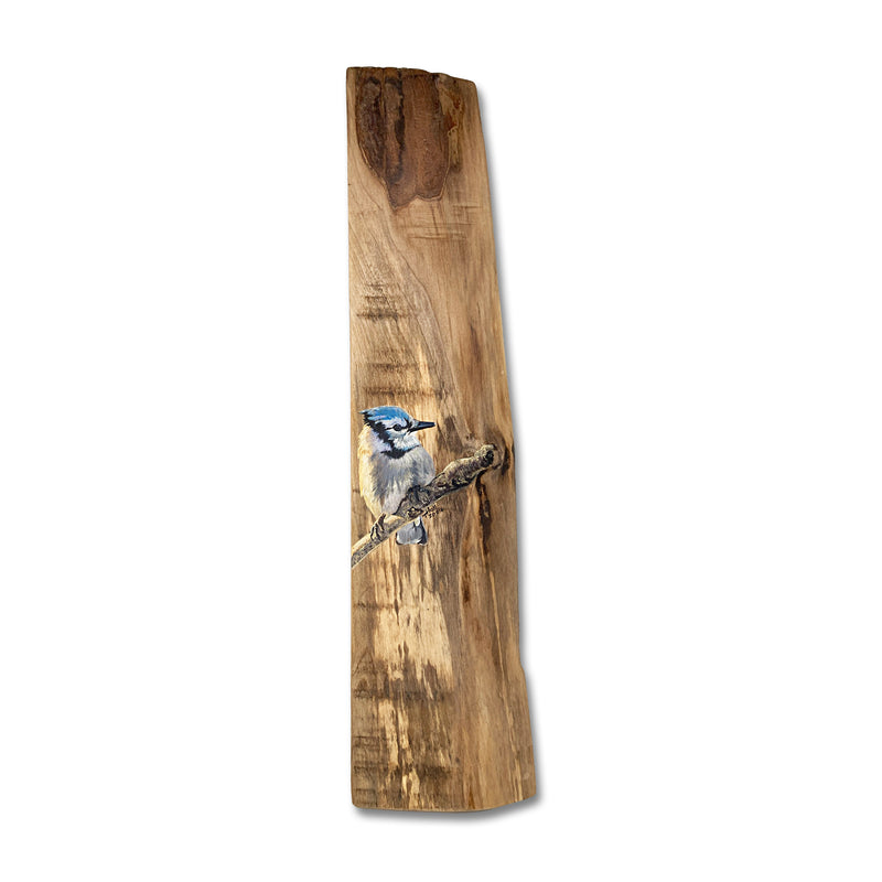 Blue Jay Acrylic On Wood Board