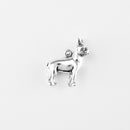 Boston Terrier, Body