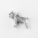 Bouvier des Flandres