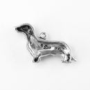 Dachshund, Long Haired