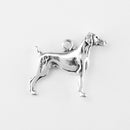 German Shorthaired Pointer