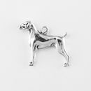 German Shorthaired Pointer