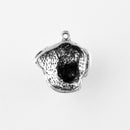 Golden Retriever, Head