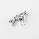 Golden Retriever, Body