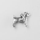 Jack Russell Terrier