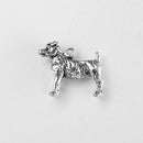 Jack Russell Terrier