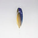 Parrot Feather in Glass Ornament XLG