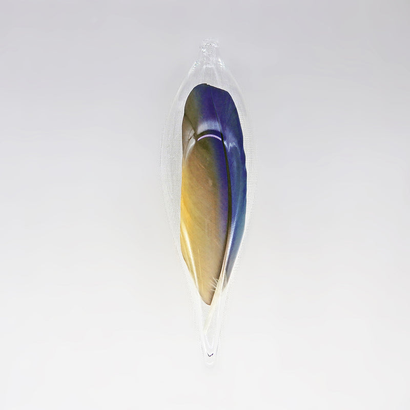 Parrot Feather in Glass Ornament XLG