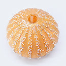 Sea Urchin Vase in Apricot/White