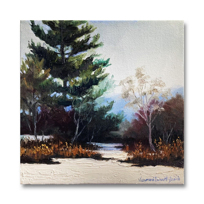 Winter Pine 10X10 Oil On Canvas